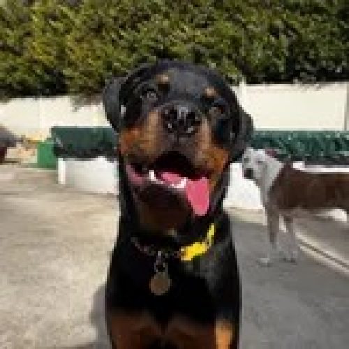 63BE2F10-5B74-4D58-9665-624D595717C5