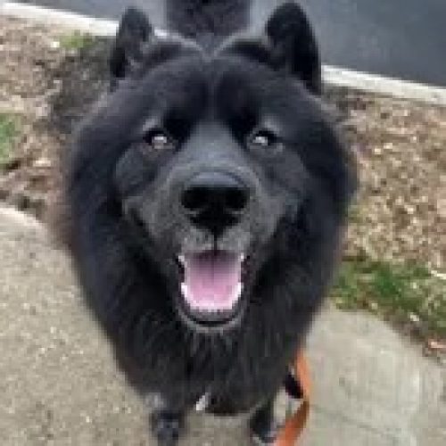 66B323CA-E798-4921-A132-20DCA805536F