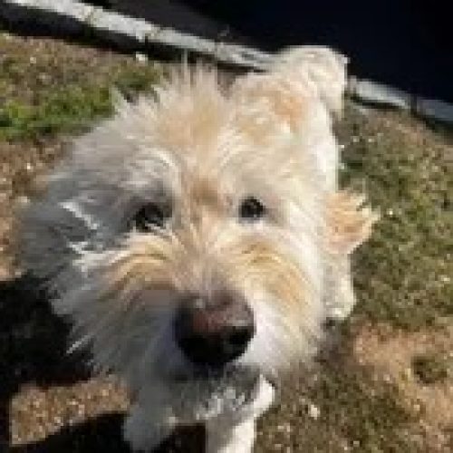 8FC385D7-D136-42D8-80C7-B7E5CF3940FF