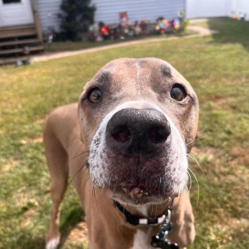 icm_fullxfull.818451827_5cq002b0898osg0cwwcs