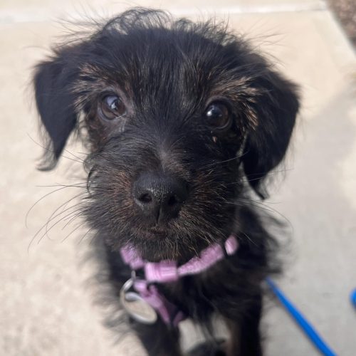 icm_fullxfull.818452361_gq7x5rzmv5wgssook0kg