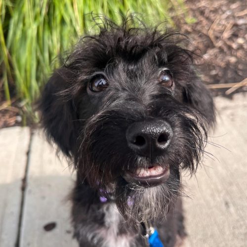 icm_fullxfull.818452373_kod07atrflswowcgso4k